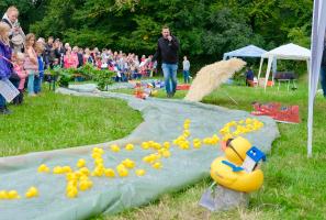 Gewinner-Enten